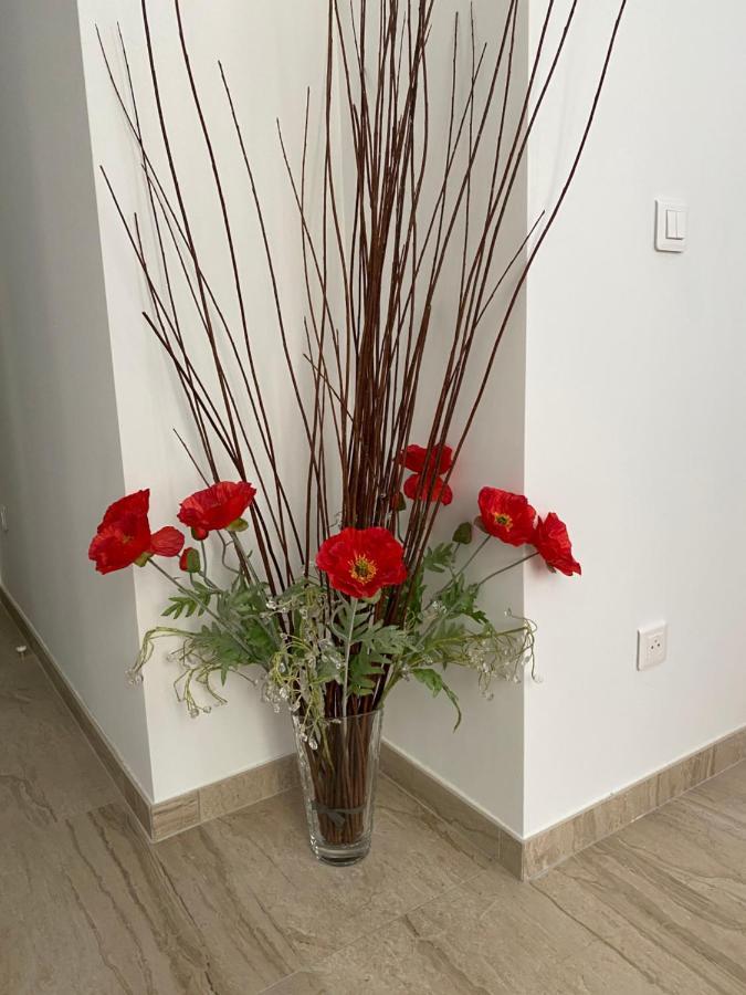 Hyper Centre Apartment Nizza